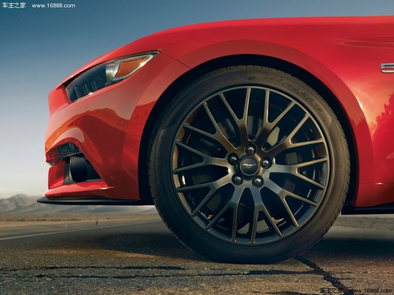 Mustang