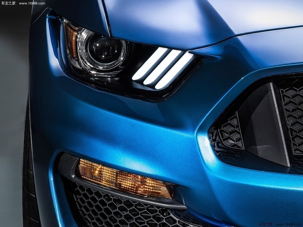 Mustang2016款 Shelby GT350R