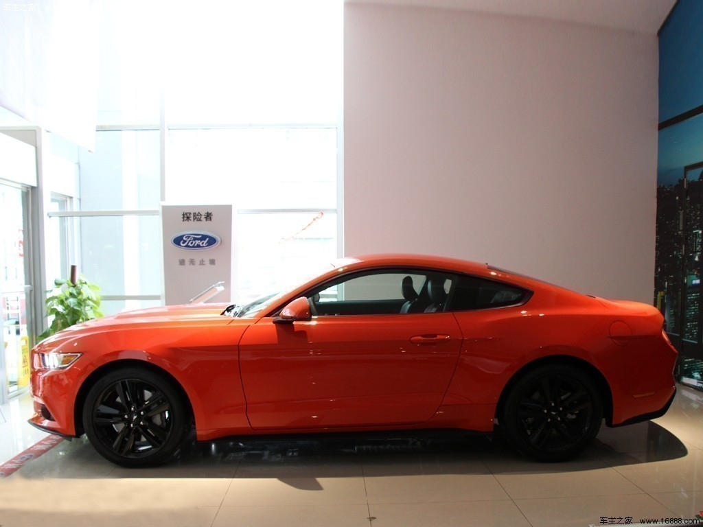 Mustang15款2.3T 50周年纪念版