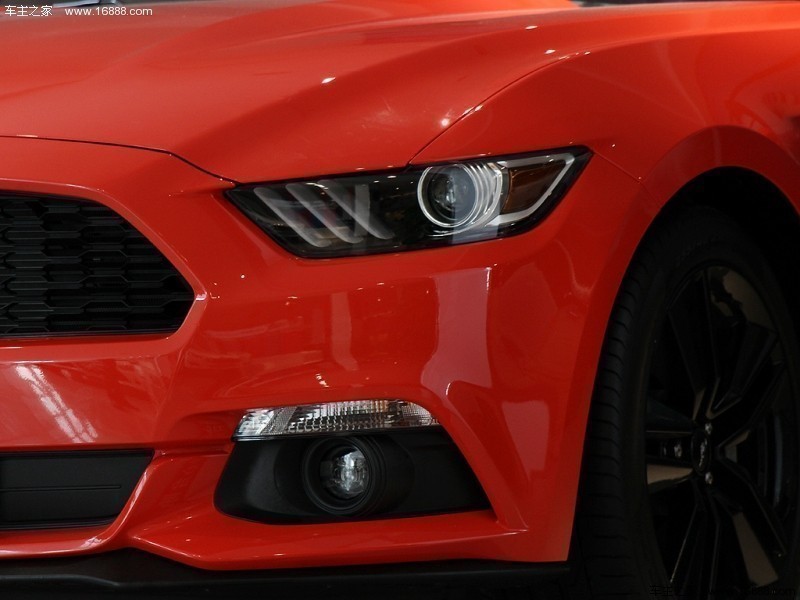 Mustang15款2.3T 50周年纪念版