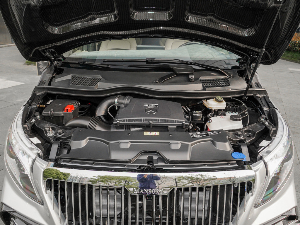 迈莎锐V级 2021款 2.0T Y誉尊