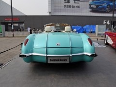 SS DOLPHIN圖片