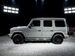 奔馳G級新能源圖片