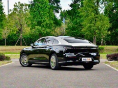 岚图追光 L图片