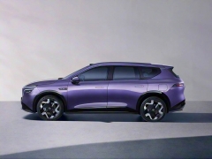 日產(chǎn)NX8圖片