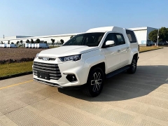 域虎9多功能車圖片