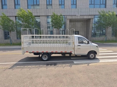 雷馳·仁T30圖片