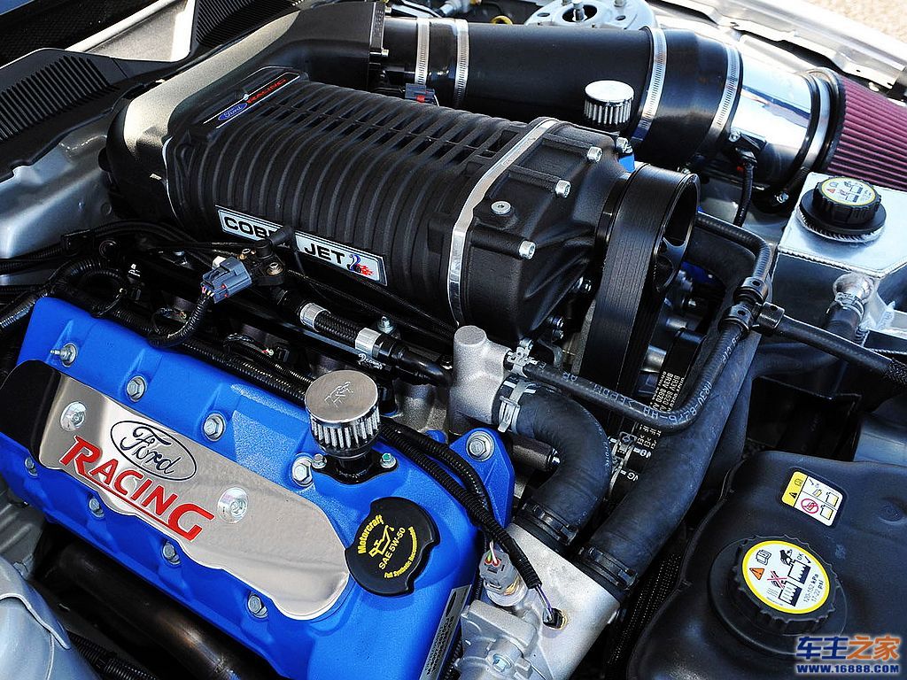 Mustang野马