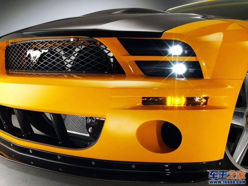 Mustang野马