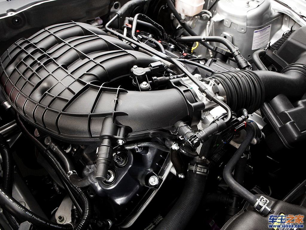 Mustang野马
