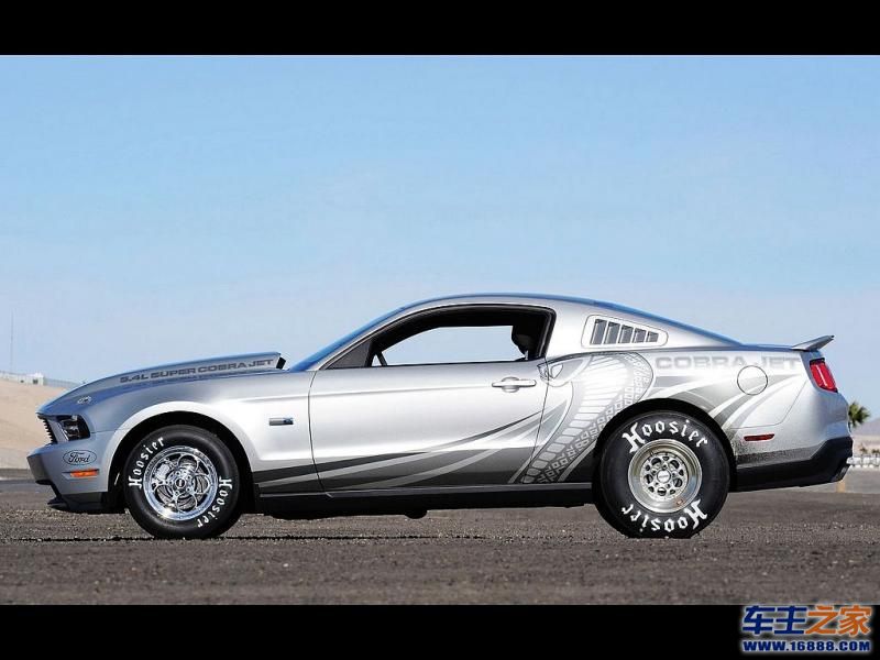 Mustang 野马
