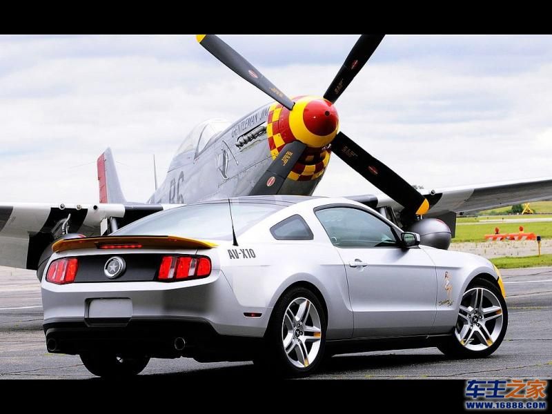 Mustang 野马
