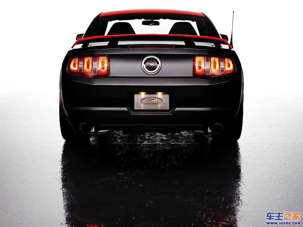 Mustang 野马