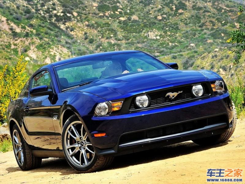 Mustang 野马