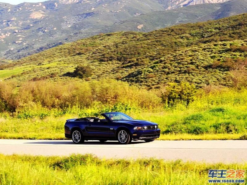 Mustang 野马