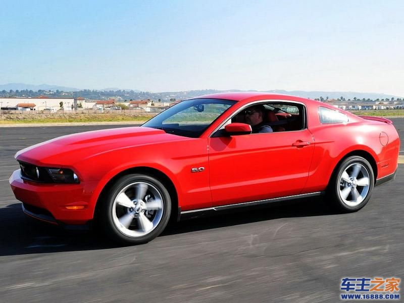 Mustang 野马
