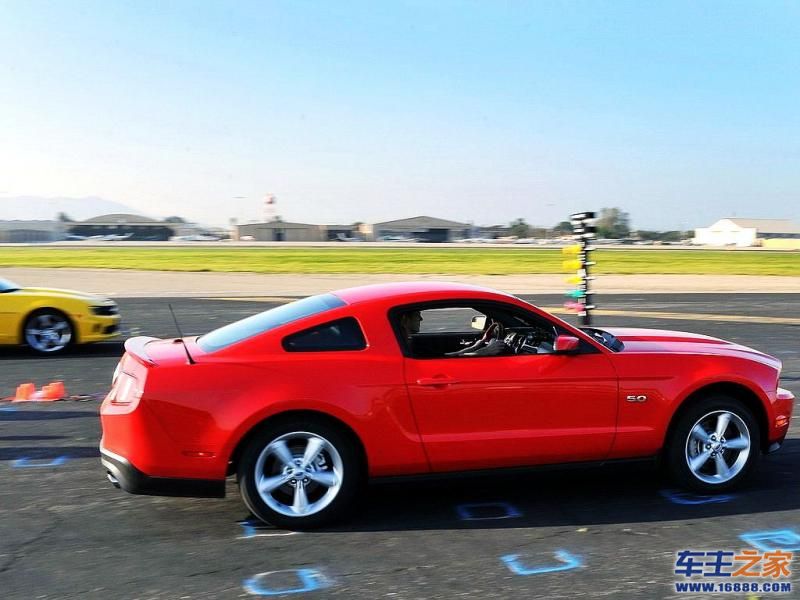 Mustang 野马