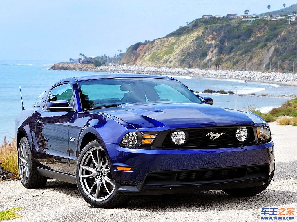 Mustang 野马
