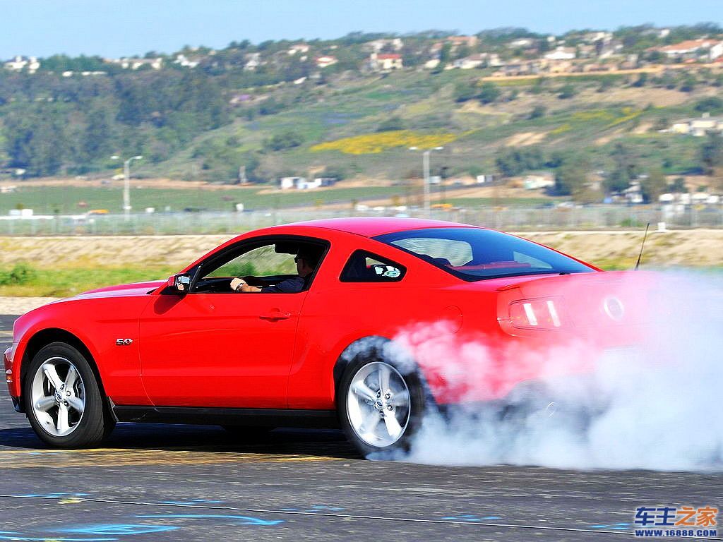 Mustang 野马