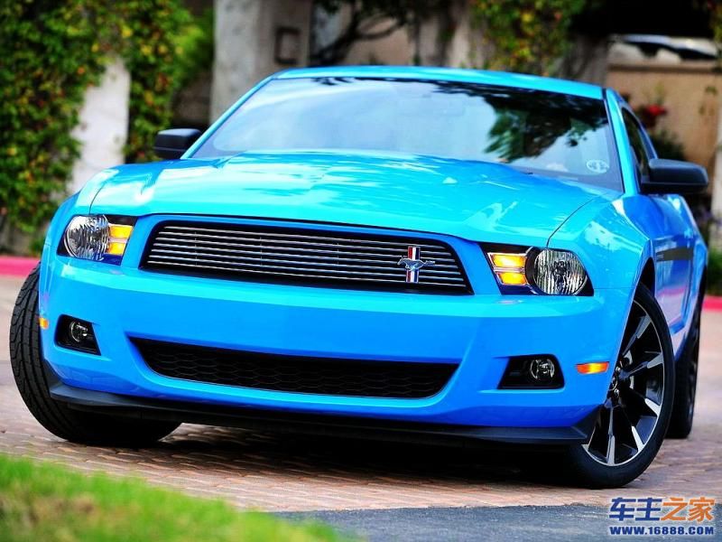 Mustang 野马