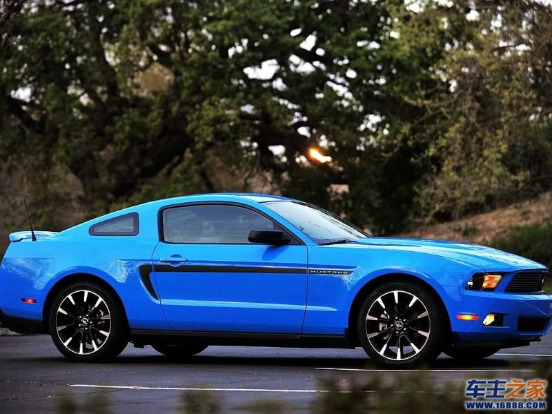Mustang 野马