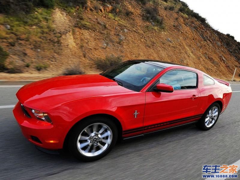 Mustang 野马