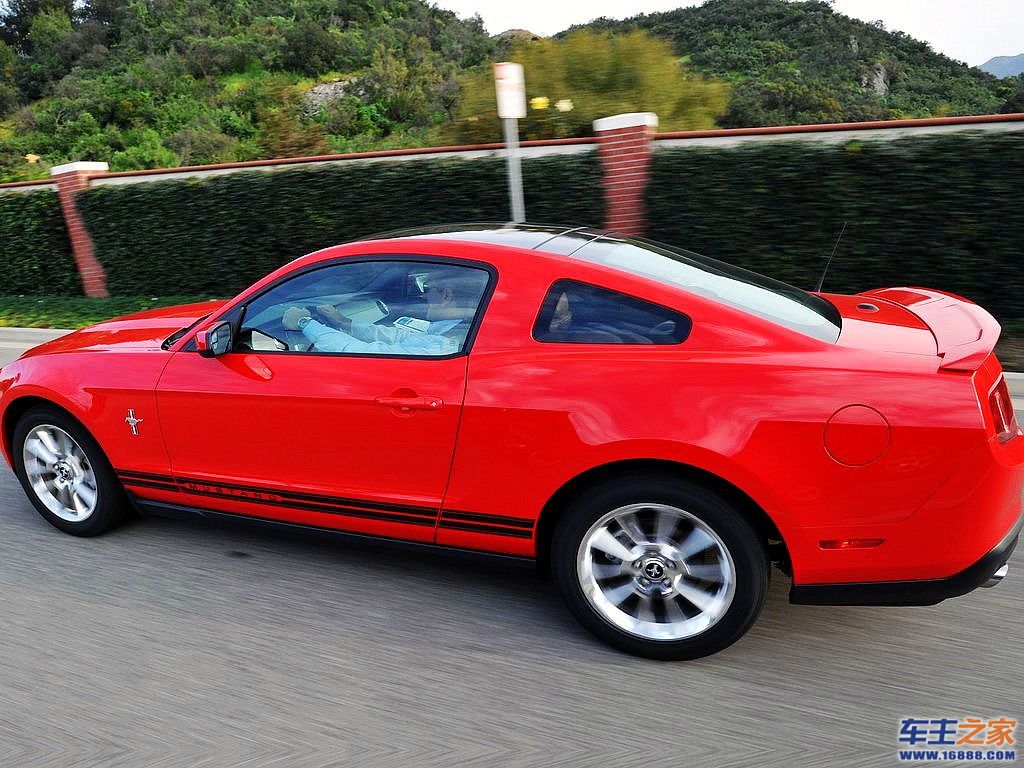 Mustang 野马