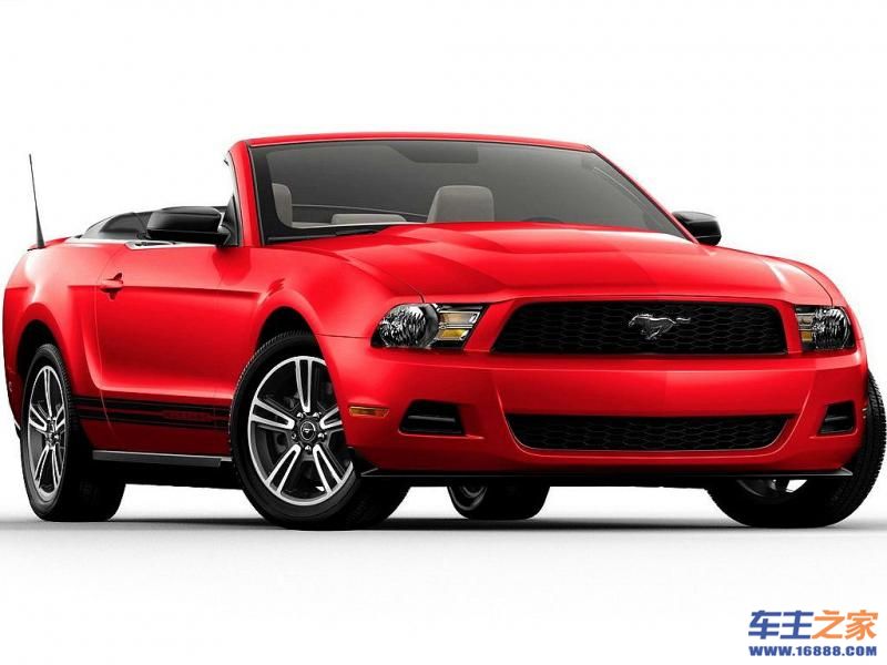 Mustang 野马