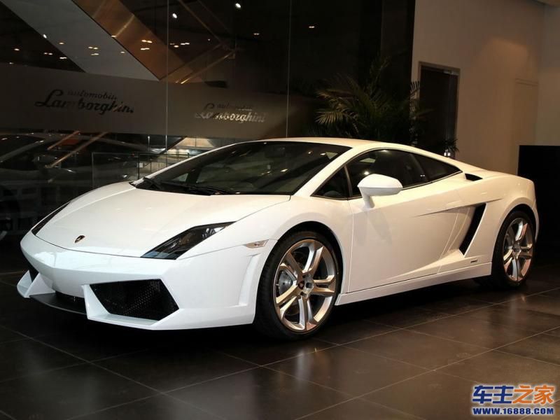 Gallardo白色 Gallardo