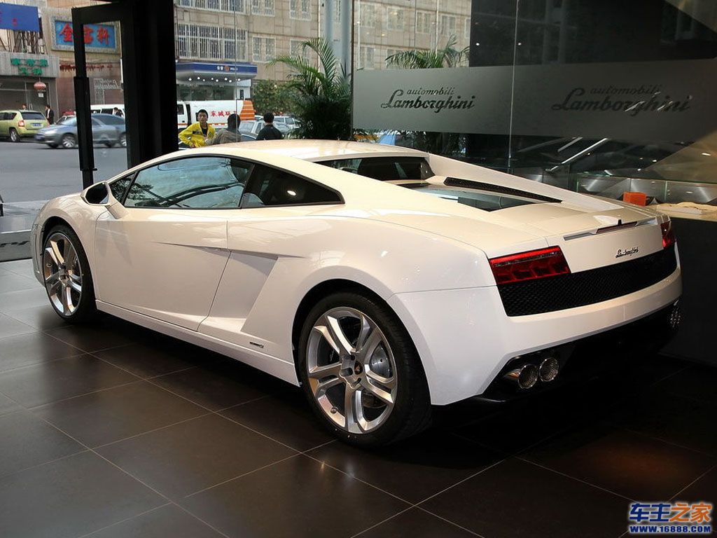 汽车图库 兰博基尼 兰博基尼 gallardo(177/387) 外观 白色gallardo