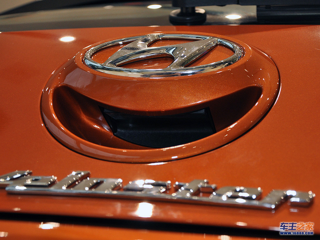 veloster飞思车标